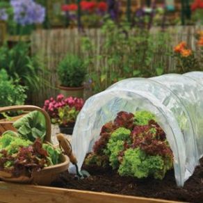Grow Tunnel With Polythene Cover